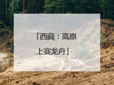 西藏：高原上赛龙舟