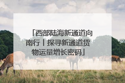 西部陆海新通道向南行丨探寻新通道货物运量增长密码