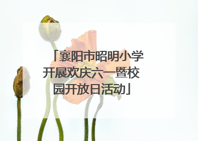 襄阳市昭明小学开展欢庆六一暨校园开放日活动