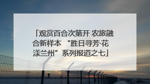 观赏百合次第开 农旅融合新样本 “胜日寻芳·花漾兰州”系列报道之七