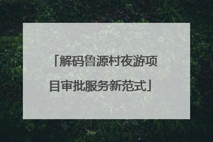 解码鲁源村夜游项目审批服务新范式