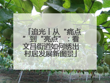 追光丨从“痛点”到“亮点”：看文昌街道如何绣出村居发展新图景