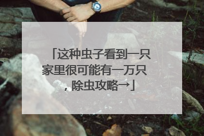 这种虫子看到一只家里很可能有一万只，除虫攻略→