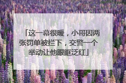 这一幕很暖，小哥因两张罚单被拦下，交警一个举动让他眼眶泛红