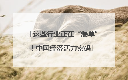 这些行业正在“爆单”！中国经济活力密码