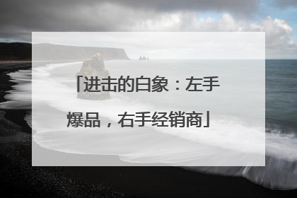 进击的白象：左手爆品，右手经销商