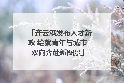 连云港发布人才新政 绘就青年与城市双向奔赴新图景