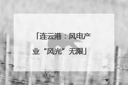 连云港：风电产业“风光”无限
