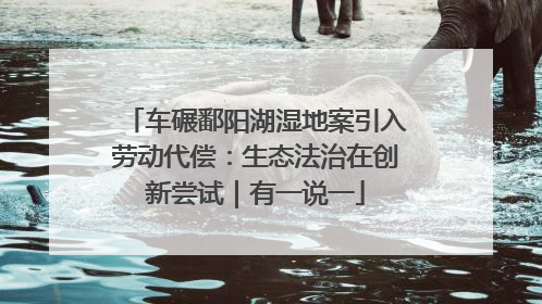 车碾鄱阳湖湿地案引入劳动代偿：生态法治在创新尝试｜有一说一