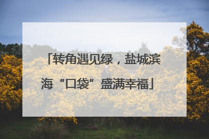 转角遇见绿，盐城滨海“口袋”盛满幸福