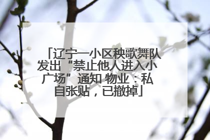 辽宁一小区秧歌舞队发出“禁止他人进入小广场”通知 物业：私自张贴，已撤掉