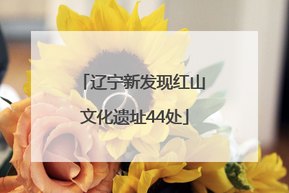 辽宁新发现红山文化遗址44处