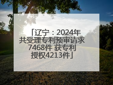 辽宁：2024年共受理专利预审请求7468件 获专利授权4213件
