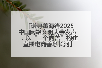 谦寻董海锋2025中国网络文明大会发声：以“三个向善”构建直播电商善意长河