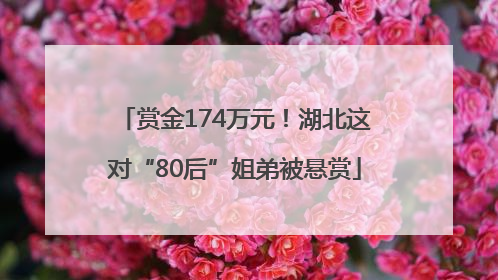 赏金174万元！湖北这对“80后”姐弟被悬赏