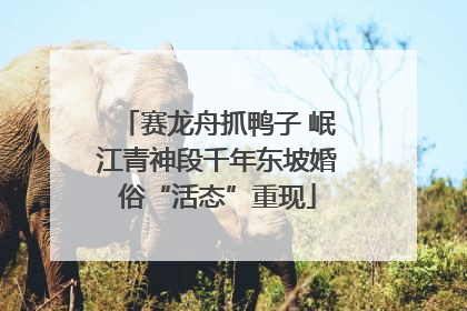 赛龙舟抓鸭子 岷江青神段千年东坡婚俗“活态”重现