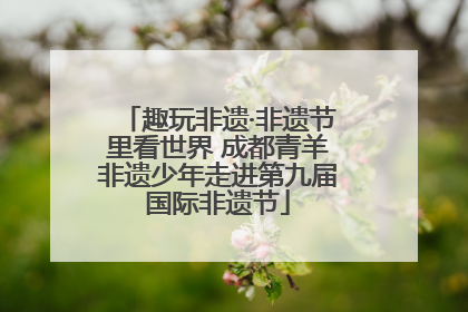 趣玩非遗·非遗节里看世界 成都青羊非遗少年走进第九届国际非遗节
