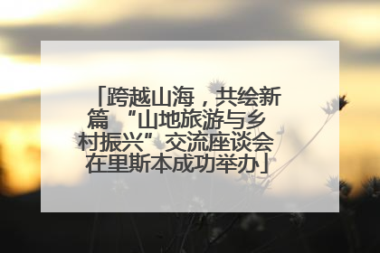 跨越山海，共绘新篇 “山地旅游与乡村振兴”交流座谈会在里斯本成功举办