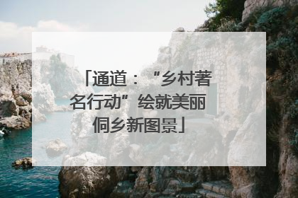 通道：“乡村著名行动”绘就美丽侗乡新图景