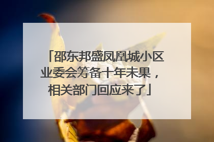 邵东邦盛凤凰城小区业委会筹备十年未果，相关部门回应来了