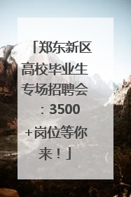 郑东新区高校毕业生专场招聘会：3500+岗位等你来！