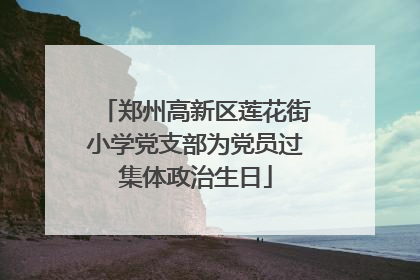 郑州高新区莲花街小学党支部为党员过集体政治生日