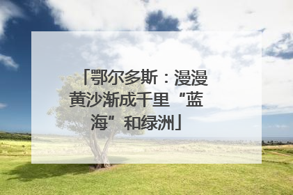 鄂尔多斯：漫漫黄沙渐成千里“蓝海”和绿洲