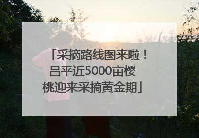 采摘路线图来啦！昌平近5000亩樱桃迎来采摘黄金期