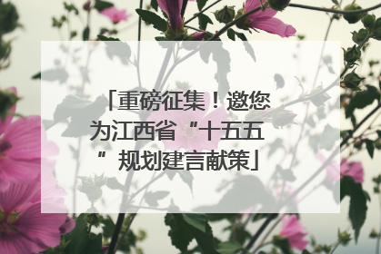重磅征集！邀您为江西省“十五五”规划建言献策