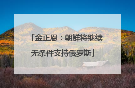 金正恩：朝鲜将继续无条件支持俄罗斯