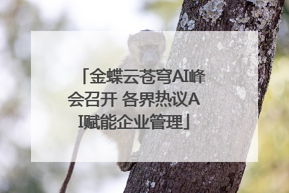 金蝶云苍穹AI峰会召开 各界热议AI赋能企业管理