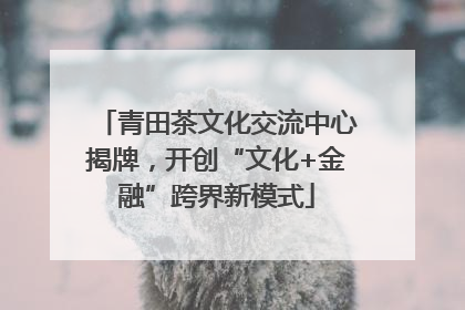 青田茶文化交流中心揭牌，开创“文化+金融”跨界新模式