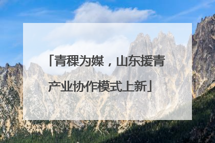 青稞为媒，山东援青产业协作模式上新