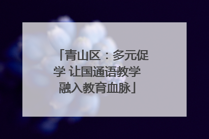 青山区：多元促学 让国通语教学融入教育血脉