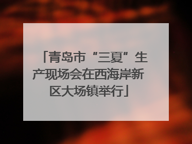 青岛市“三夏”生产现场会在西海岸新区大场镇举行
