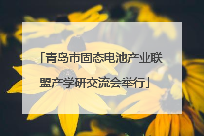 青岛市固态电池产业联盟产学研交流会举行