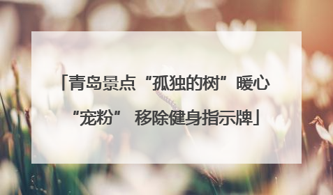 青岛景点“孤独的树”暖心“宠粉” 移除健身指示牌