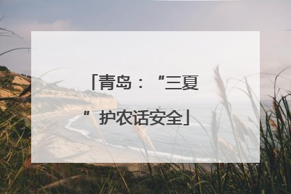 青岛：“三夏”护农话安全