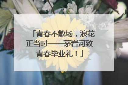 青春不散场，浪花正当时——茅岩河致青春毕业礼！
