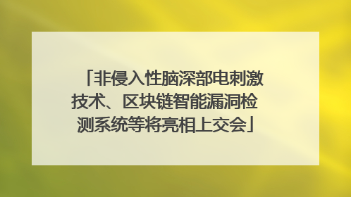 非侵入性脑深部电刺激技术、区块链智能漏洞检测系统等将亮相上交会