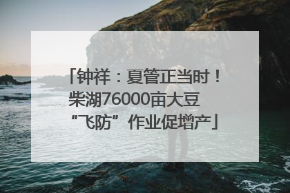 钟祥：夏管正当时！柴湖76000亩大豆“飞防”作业促增产