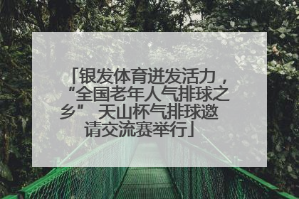 银发体育迸发活力，“全国老年人气排球之乡” 天山杯气排球邀请交流赛举行