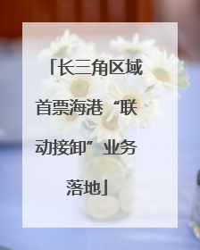 长三角区域首票海港“联动接卸”业务落地
