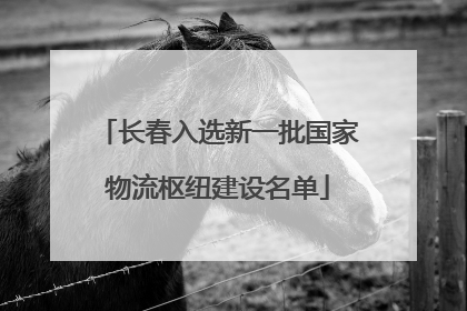 长春入选新一批国家物流枢纽建设名单