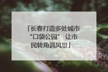 长春打造多处城市“口袋公园” 让市民转角遇风景