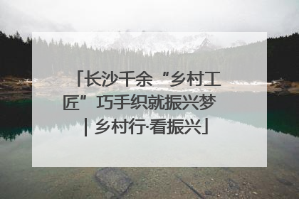 长沙千余“乡村工匠”巧手织就振兴梦｜乡村行·看振兴
