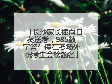 长沙家长捧向日葵送考，985数字警车停在考场外祝考生金榜题名