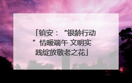 镇安：“银龄行动”情暖端午 文明实践绽放敬老之花