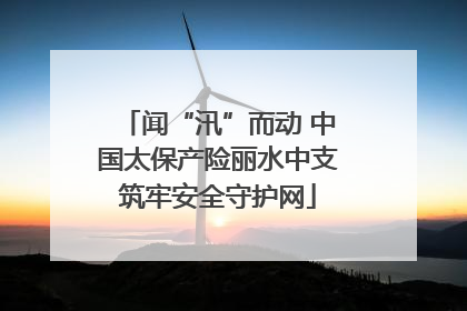 闻“汛”而动 中国太保产险丽水中支筑牢安全守护网