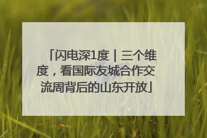 闪电深1度｜三个维度，看国际友城合作交流周背后的山东开放
